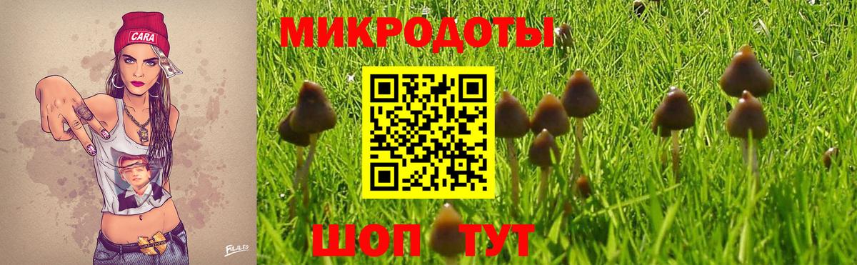 Псилоцибиновые грибы GOLDEN TEACHER  Вход с VPN  Отрадный  Псилоцибиновые грибы Psilocybine cubensis 